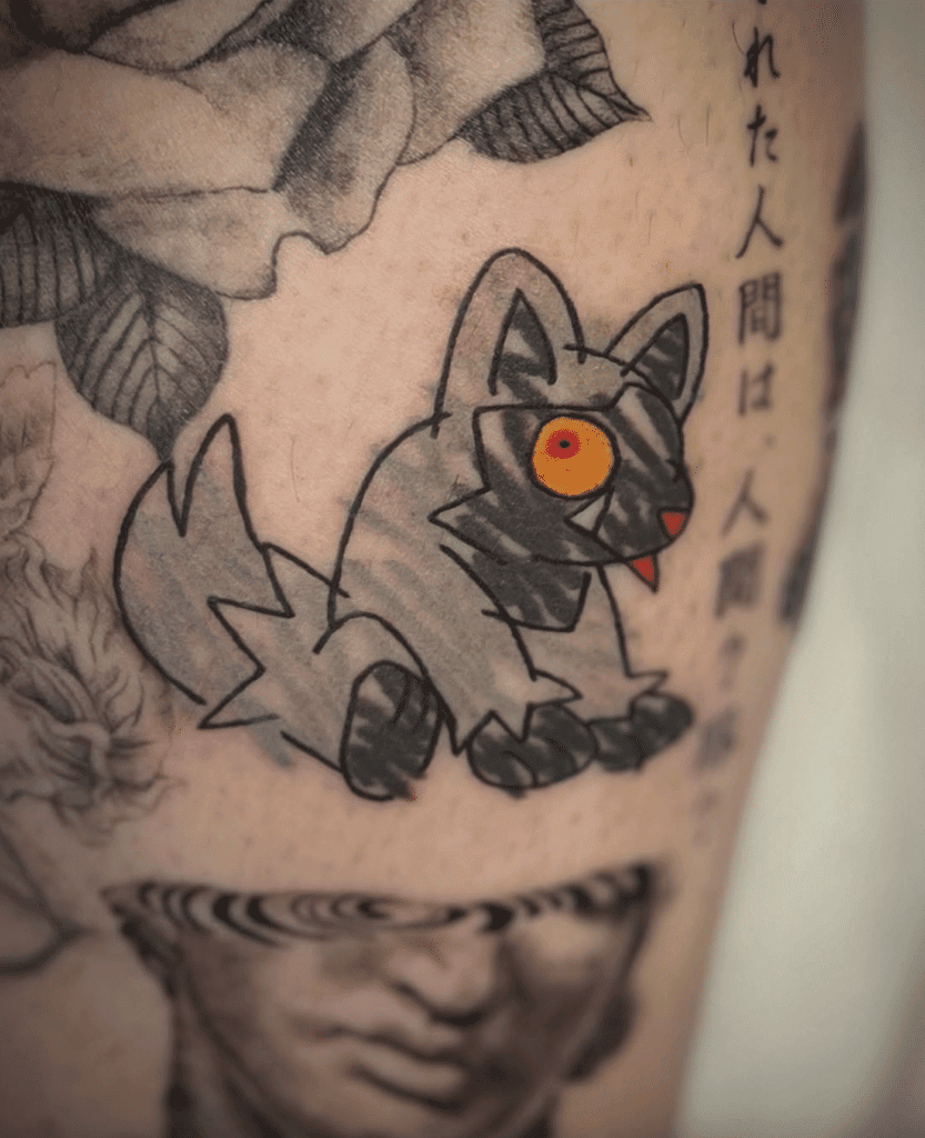 Poochyena Silly Hoenn Pokémon