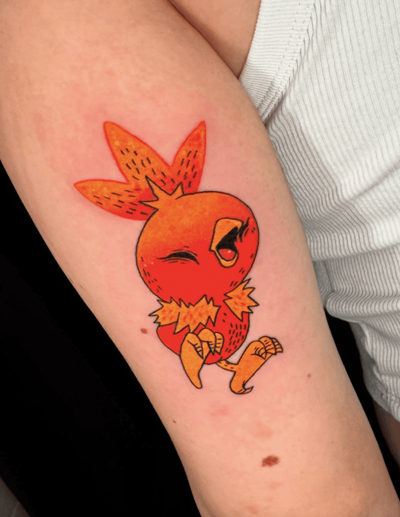Torchic Happy Hoenn Pokémon