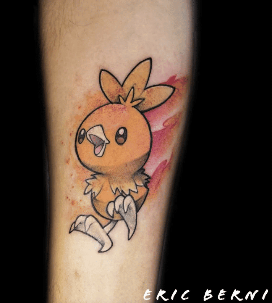Torchic Hoenn Pokémon