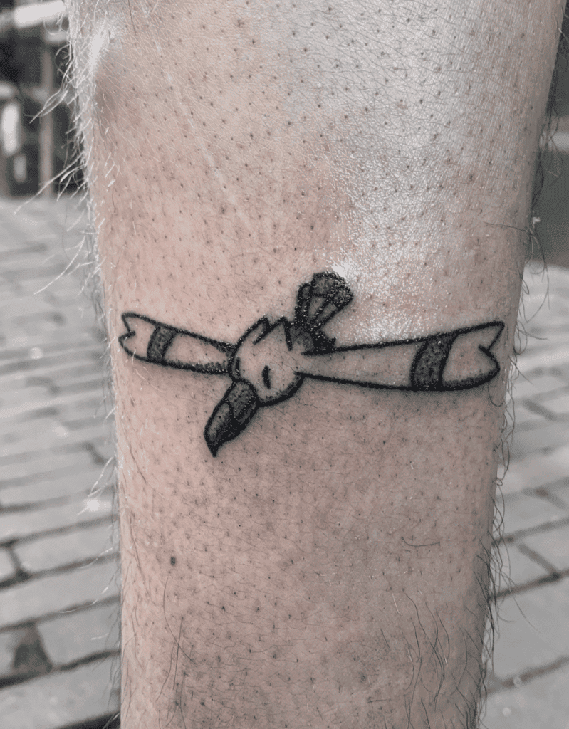 Wingull Hoenn Pokémon