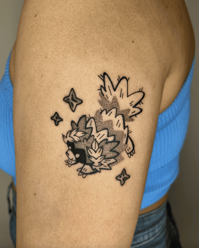 Zigzagoon Style Hoenn Pokémon