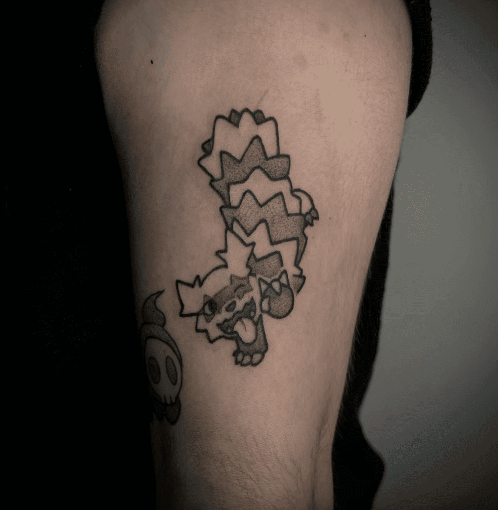 Zigzagoon Wink Hoenn Pokémon