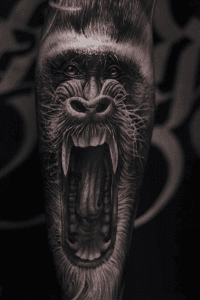 Mandrill Monkey Tattoo