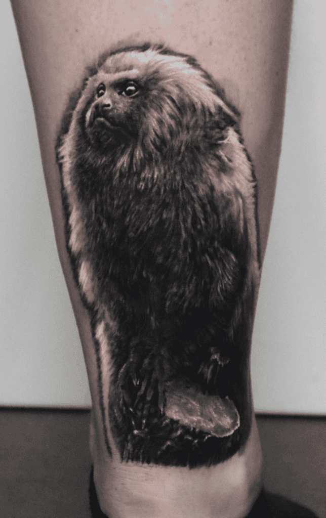 Marmoset Monkey Tattoo
