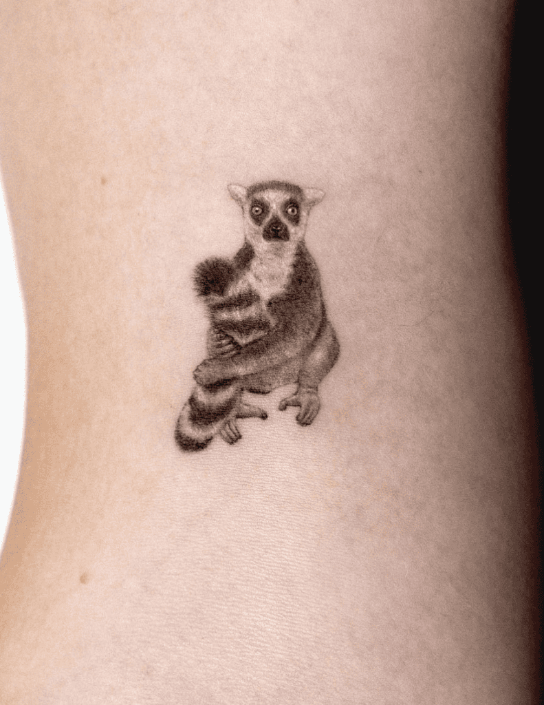 Ring-tailed Lemur Small Primate Tattoo