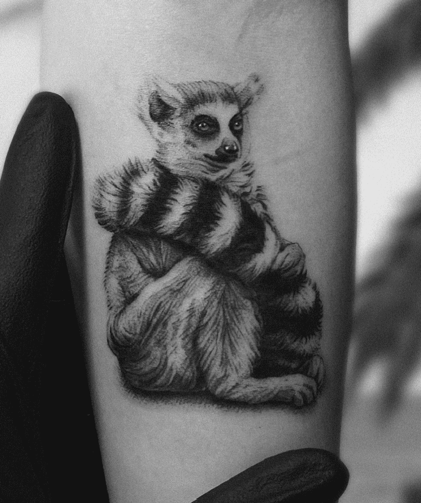 Ring-tailed Tail Lemur Primate Tattoo