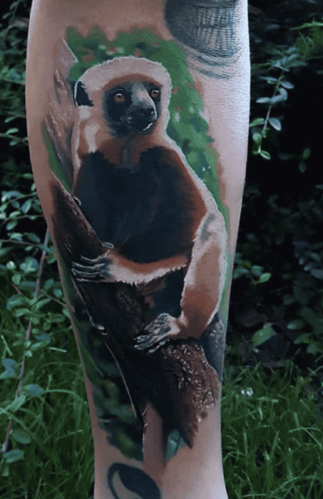 Sifaka Colourful Primate Tattoo