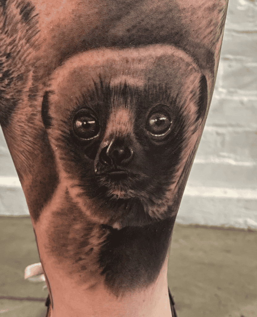Sifaka Primate Tattoo