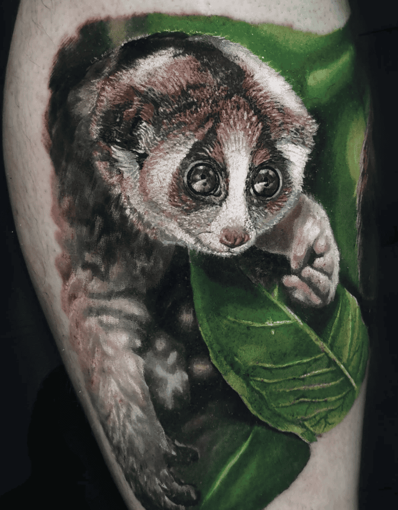 Slow Loris Leaves Primate Tattoo
