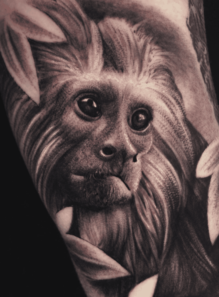 Tamarin Monkey Tattoo