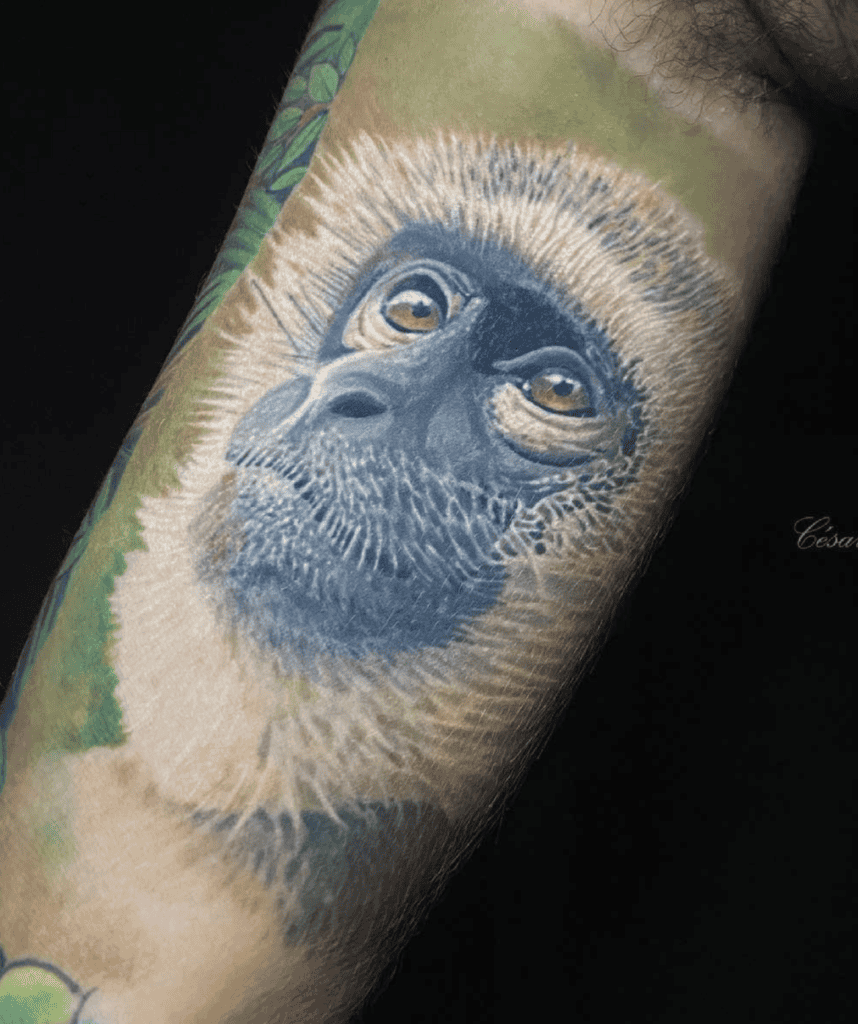 Vervet Monkey Tattoo