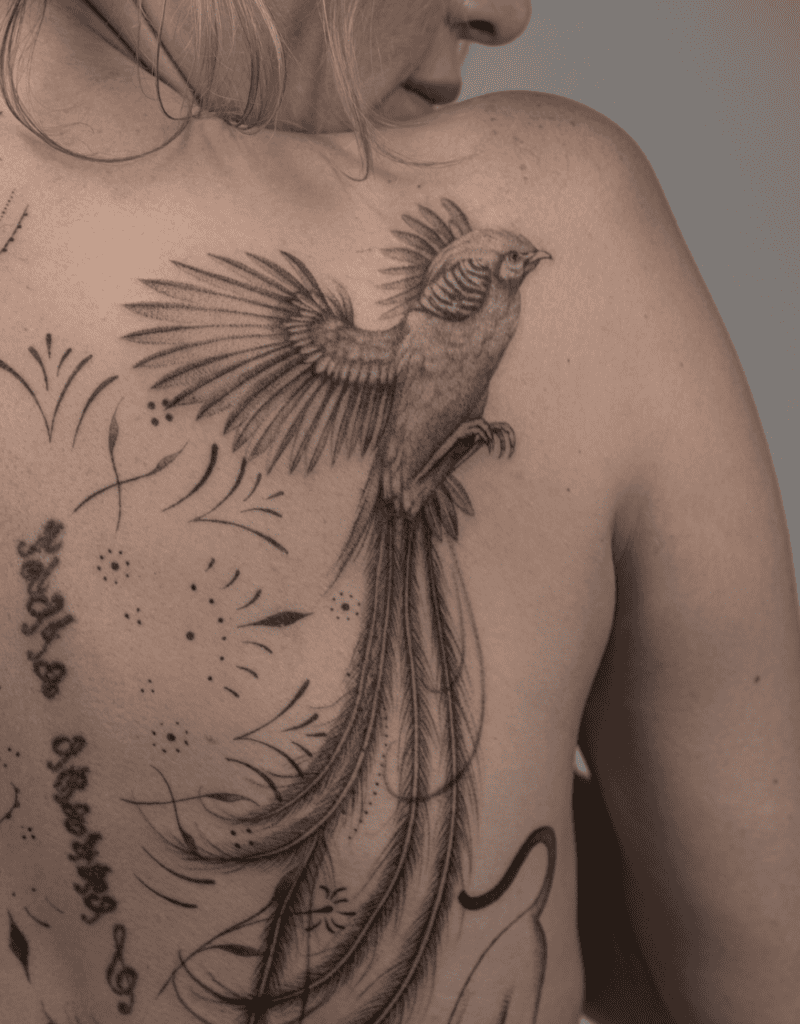 Golden Pheasant Fly Tattoo