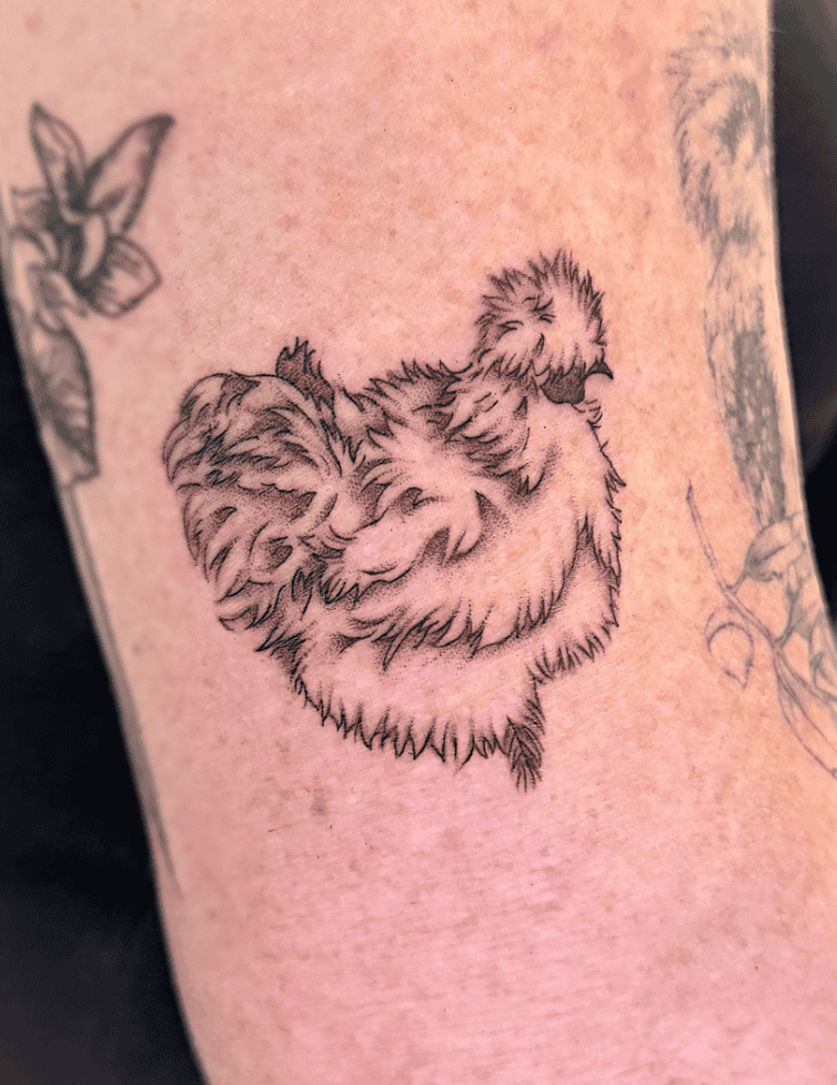 Silkie Sit Chicken Tattoo