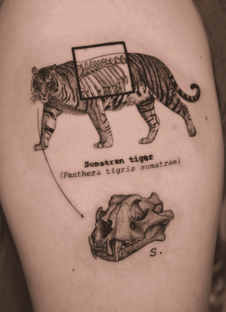 Sumatran Tiger Tattoo