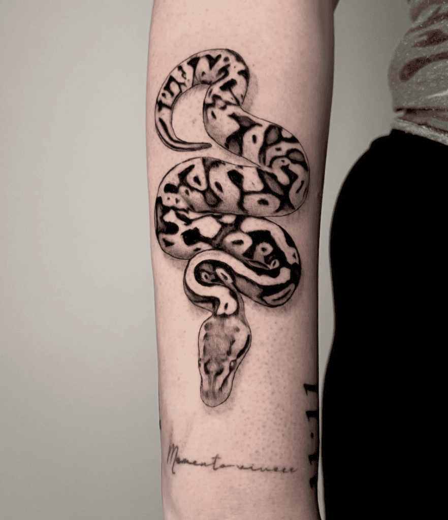Ball Python Snake Tattoo