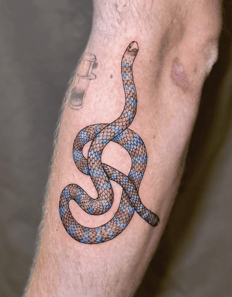 Banded Krait Coil Snake Tattoo