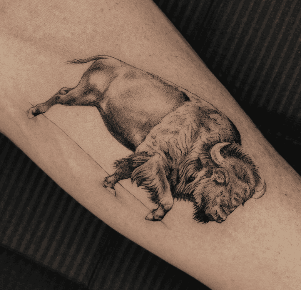 Bison Bovine Tattoo