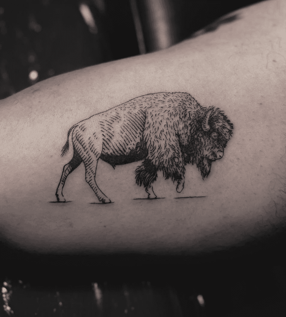 Bison Strut Bovine Tattoo