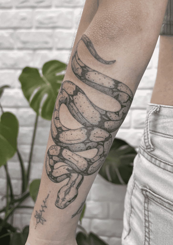 Boa Constrictor Snake Tattoo