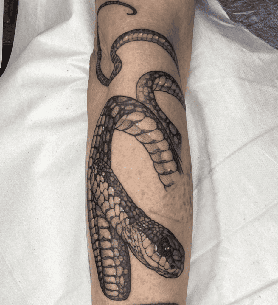 Boomslang Hang Snake Tattoo