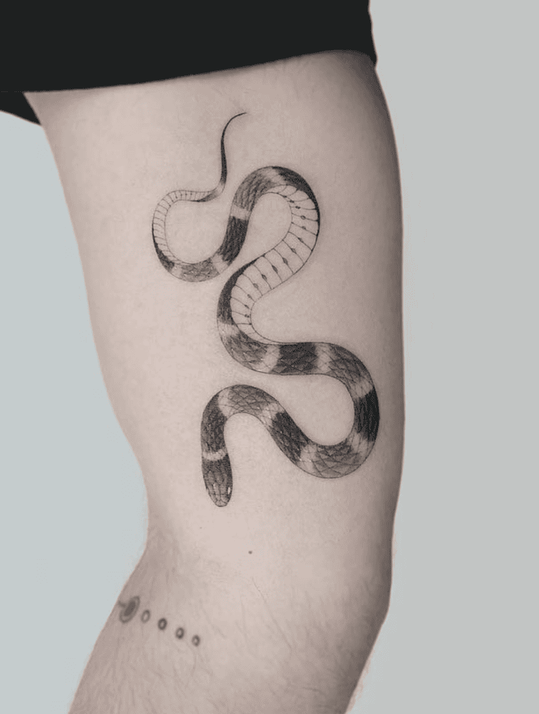 Coral Snake Simple Tattoo