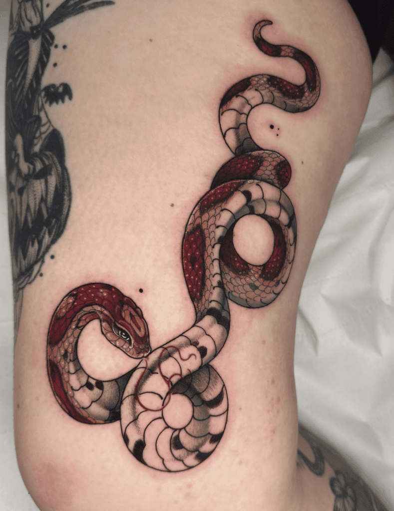 Corn Snake Colour Tattoo