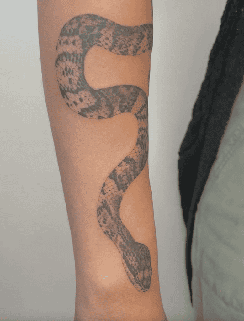 Cottonmouth Snake Tattoo