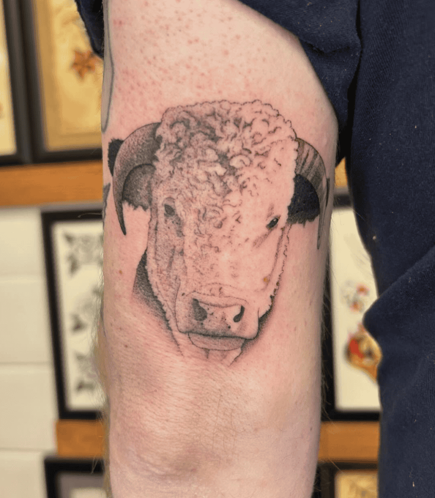 Hereford Cattle Bovine Tattoo