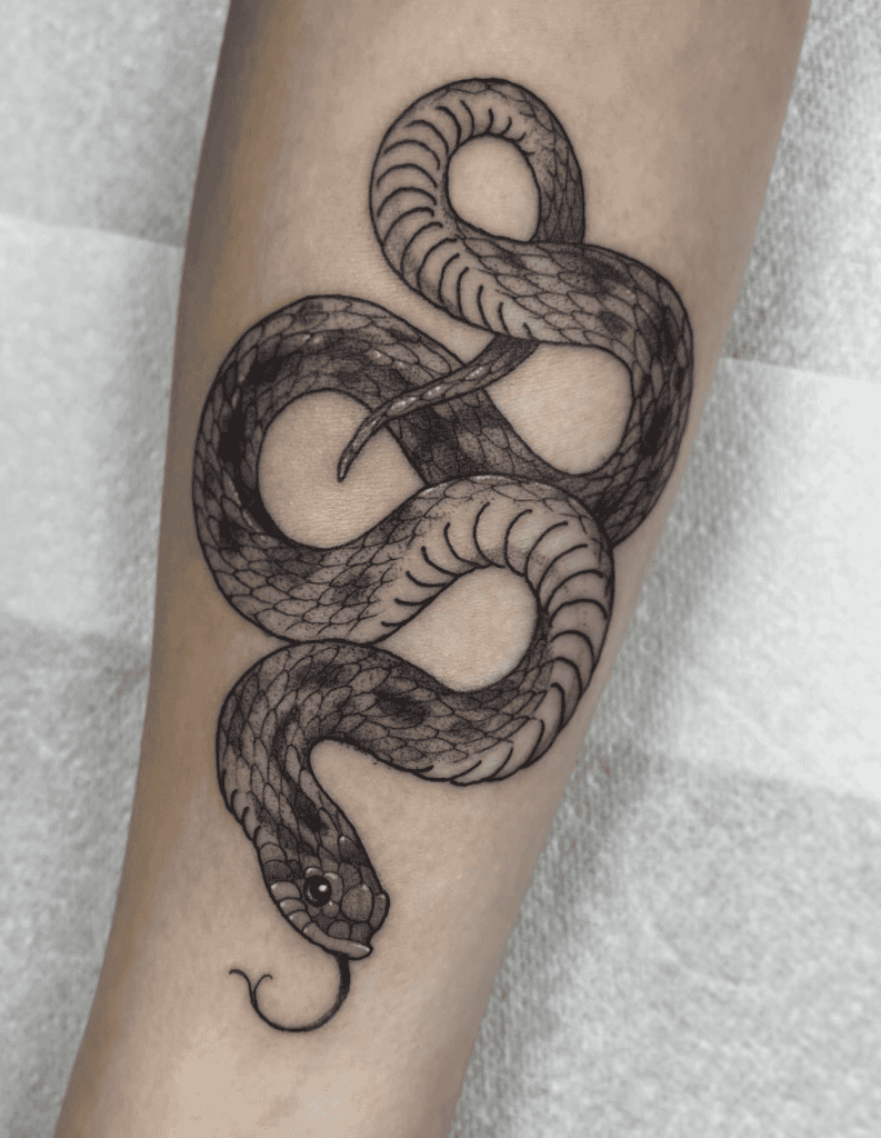 Hognose Snake Tattoo