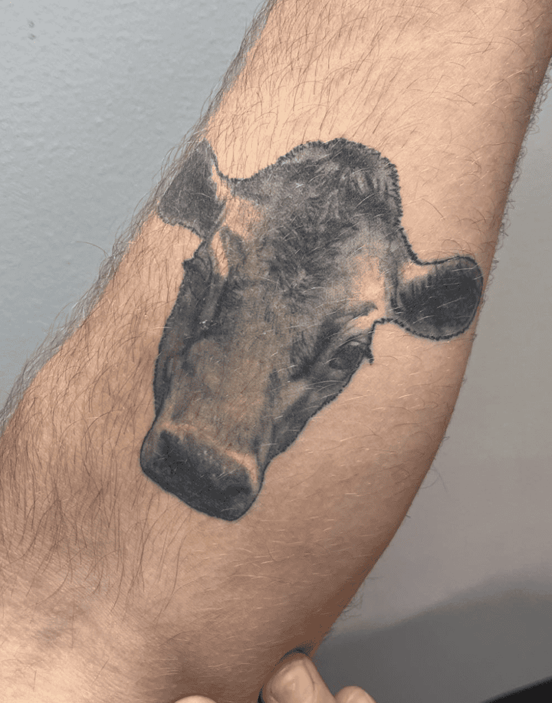Jersey Cattle Head Bovine Tattoo