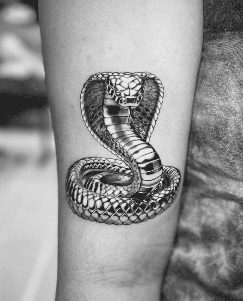 King Cobra Chrome Snake Tattoo