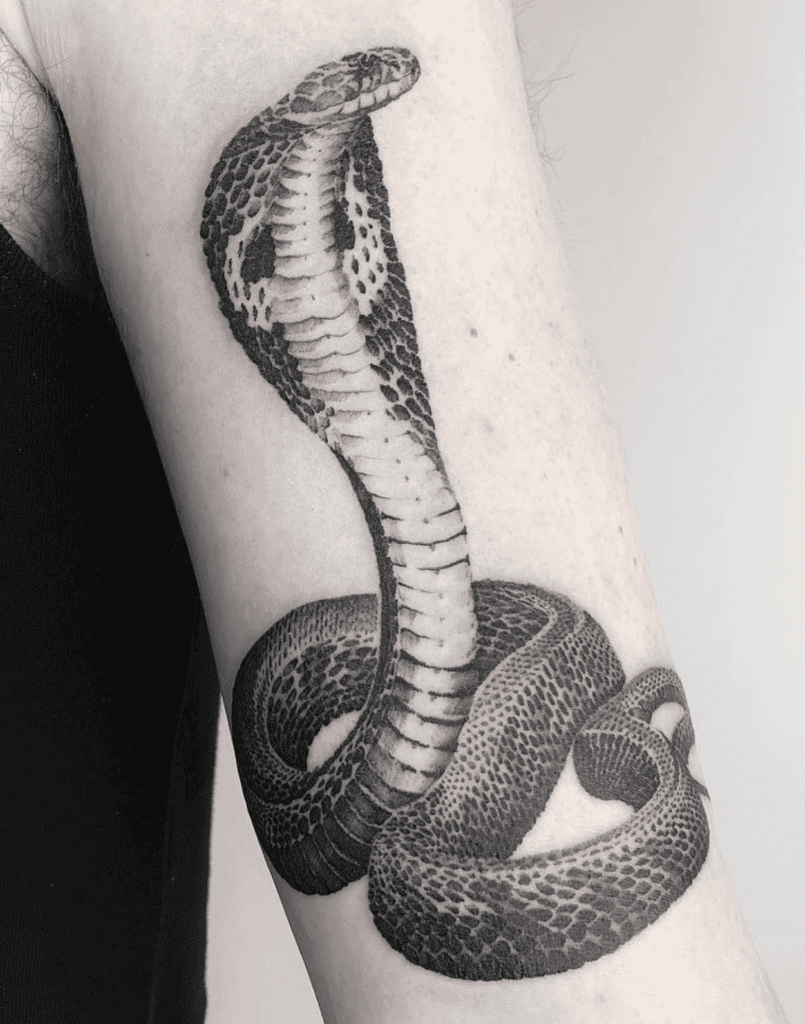 King Cobra Proud Snake Tattoo