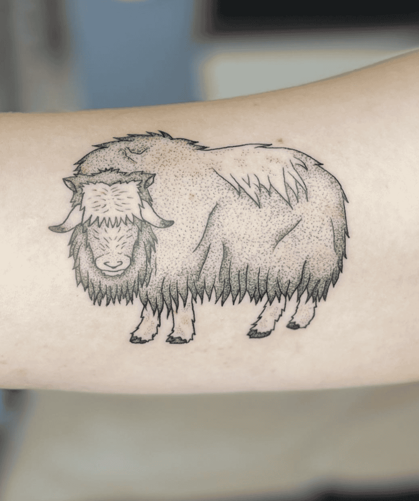 Muskox Bovine Tattoo