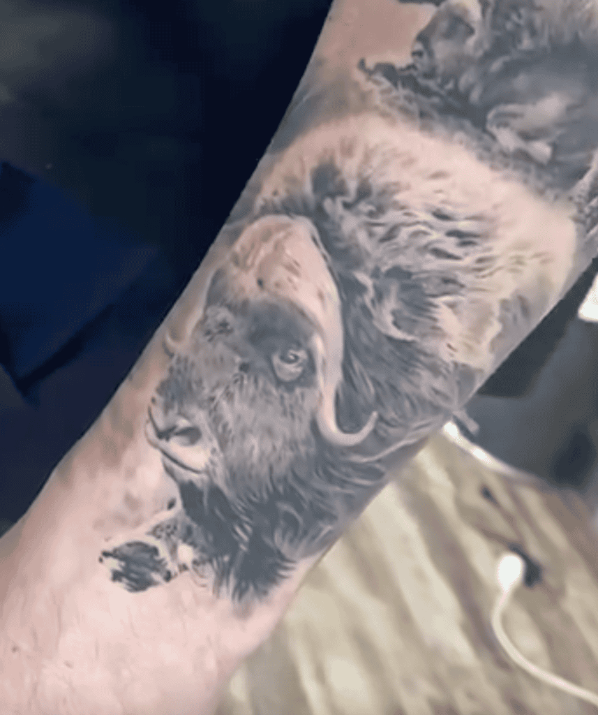 Muskox Bull Bovine Tattoo