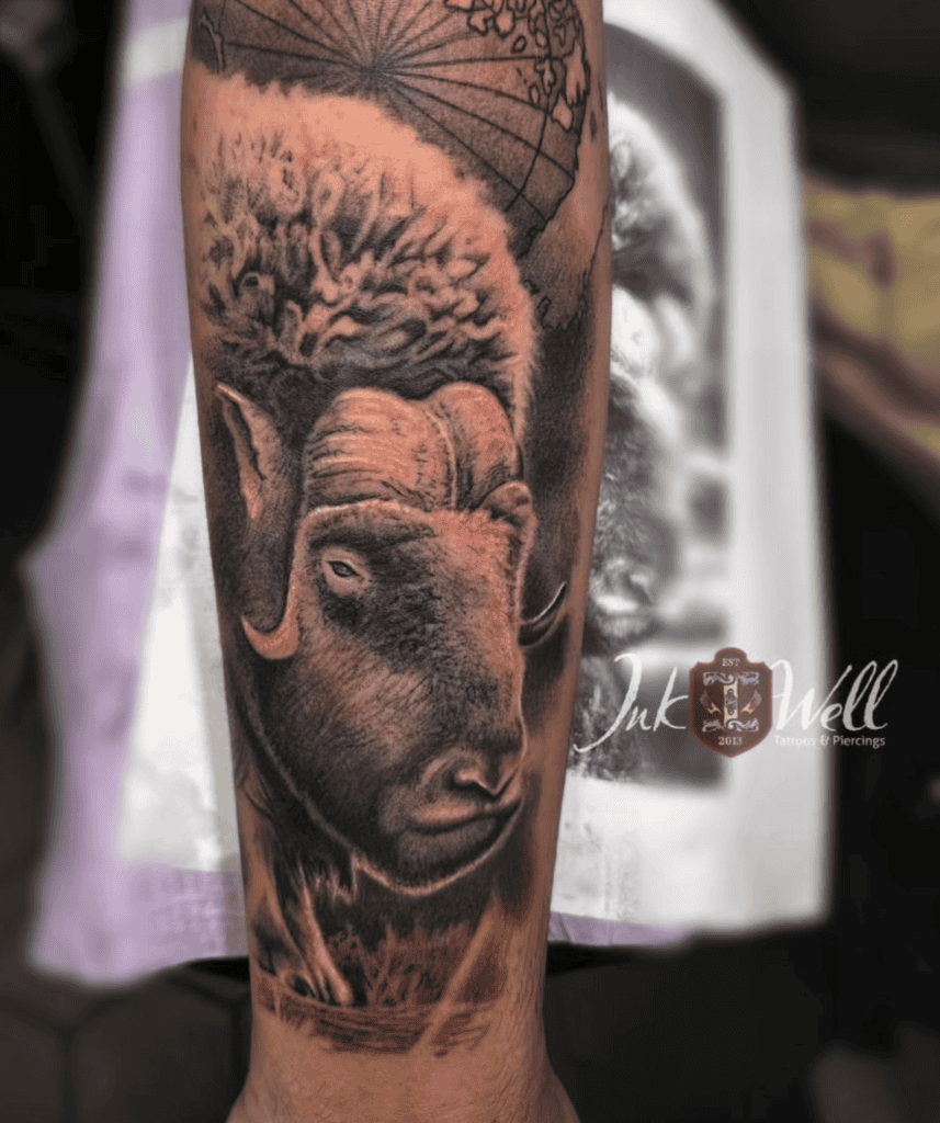 Muskox Simple Bovine Tattoo
