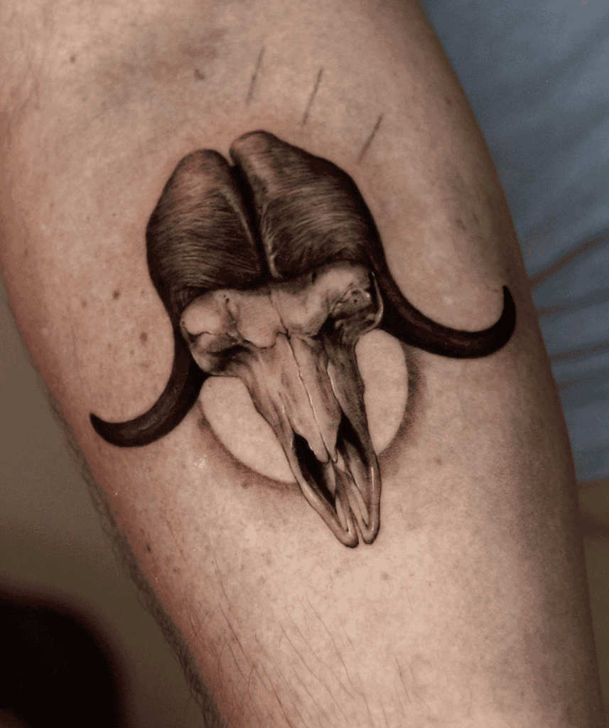 Muskox Skull Bovine Tattoo