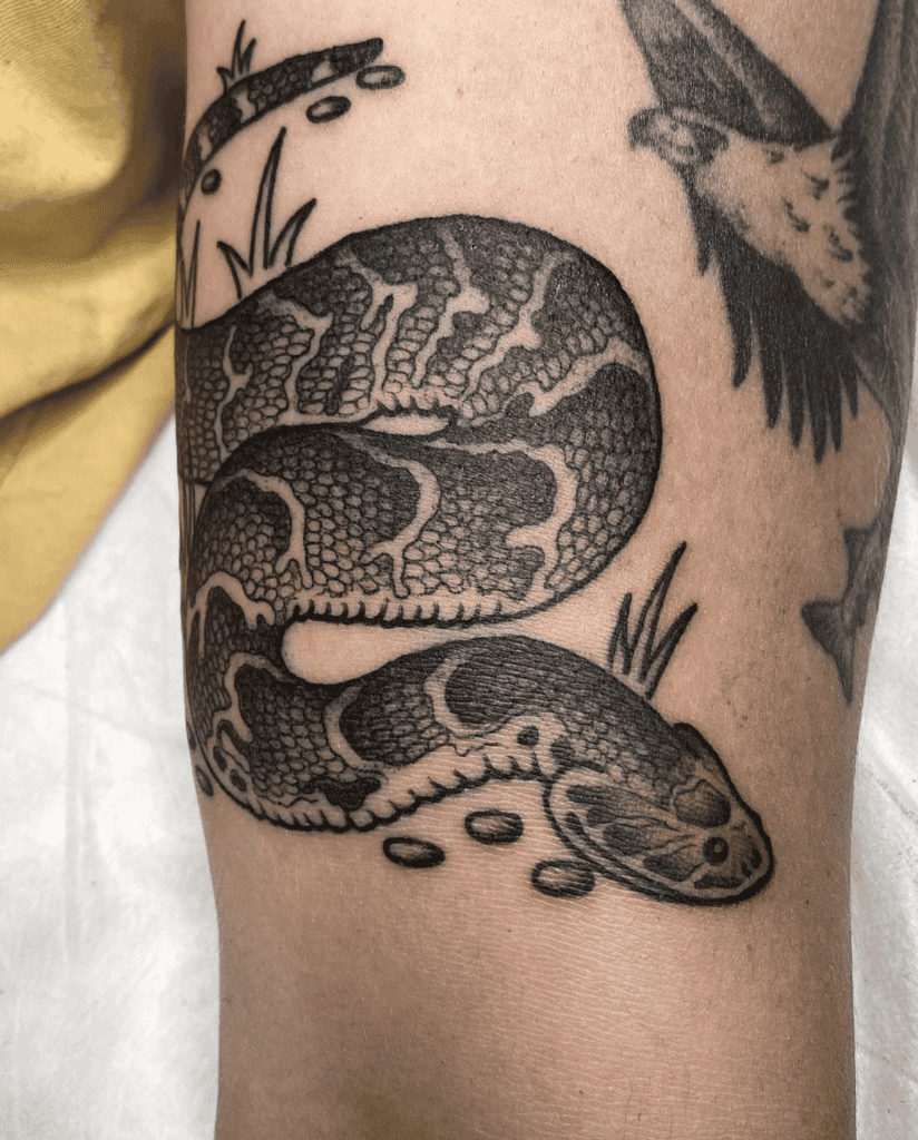 Puff Adder Snake Tattoo