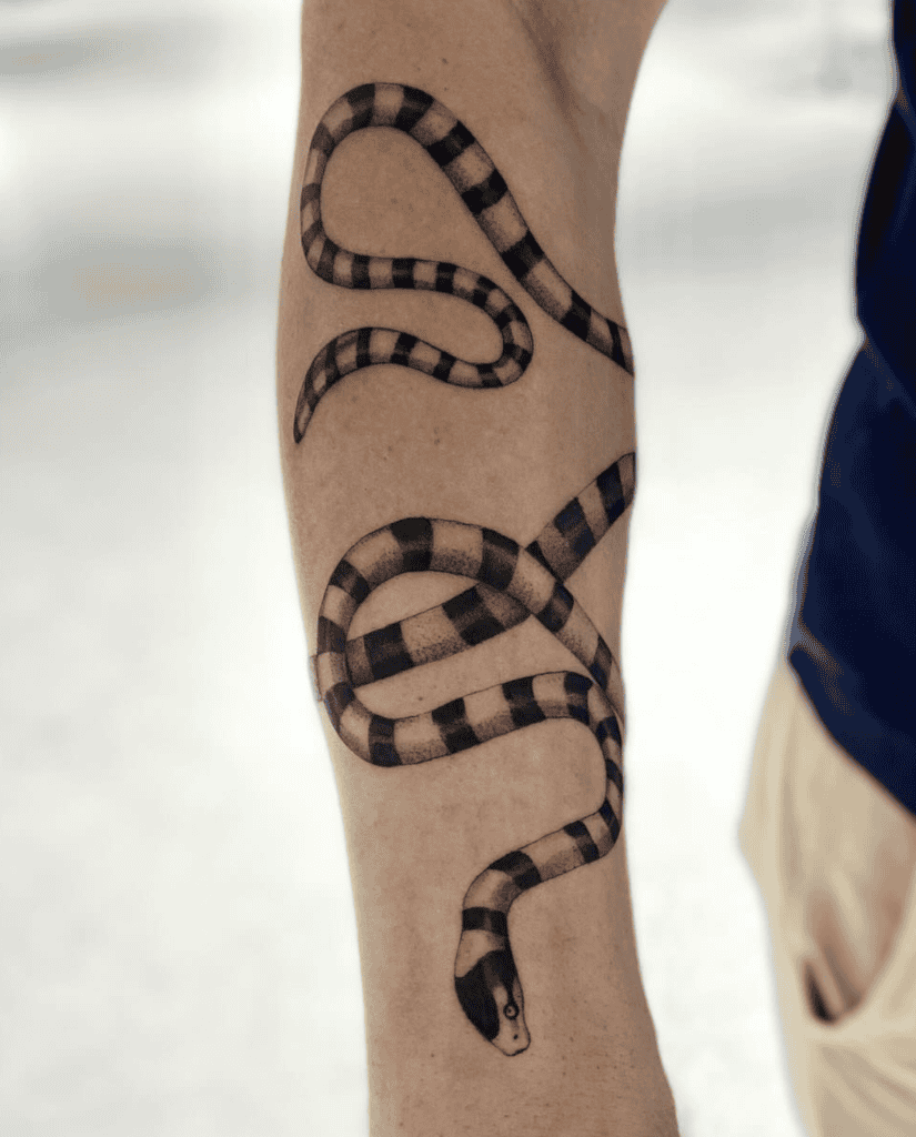 Sea Krait Coil Snake Tattoo