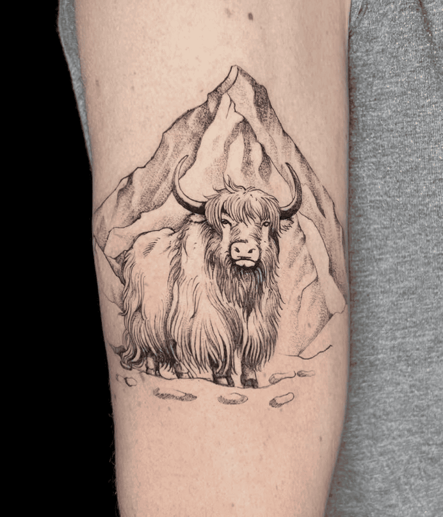 Yak Willd Bovine Tattoo