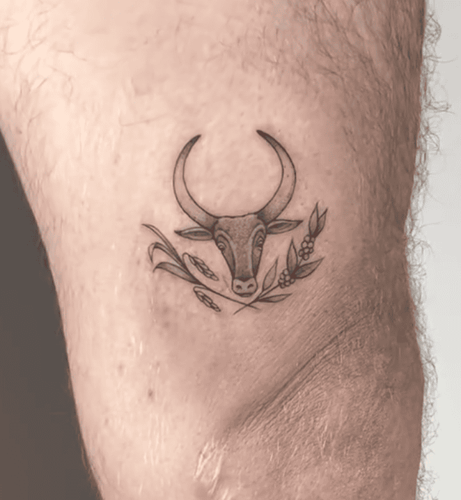 Zebu Small Bovine Tattoo