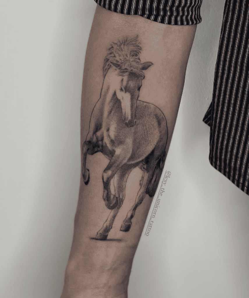 Lipizzaner Horse Tattoo
