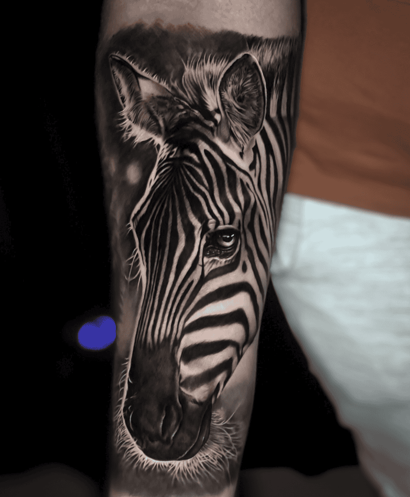 Zebra Portrait Tattoo