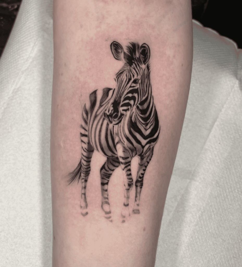 Zebra Roam Tattoo